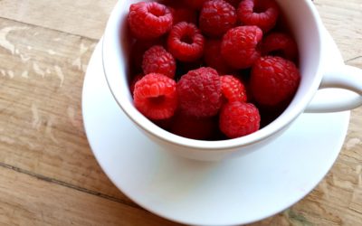 Episode 49 – Dietary Over-regulation and the Pursuit of Purity