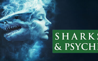 SHARK: Elemental symbol of our will to survive and ravenous hunger for experience